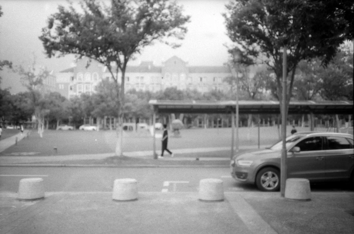 树荫下的校园道路与车辆