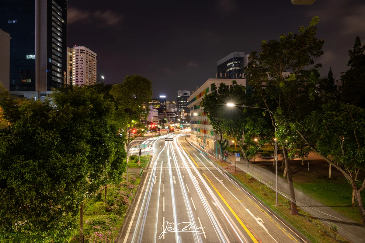 绿树夹道的夜间车流
