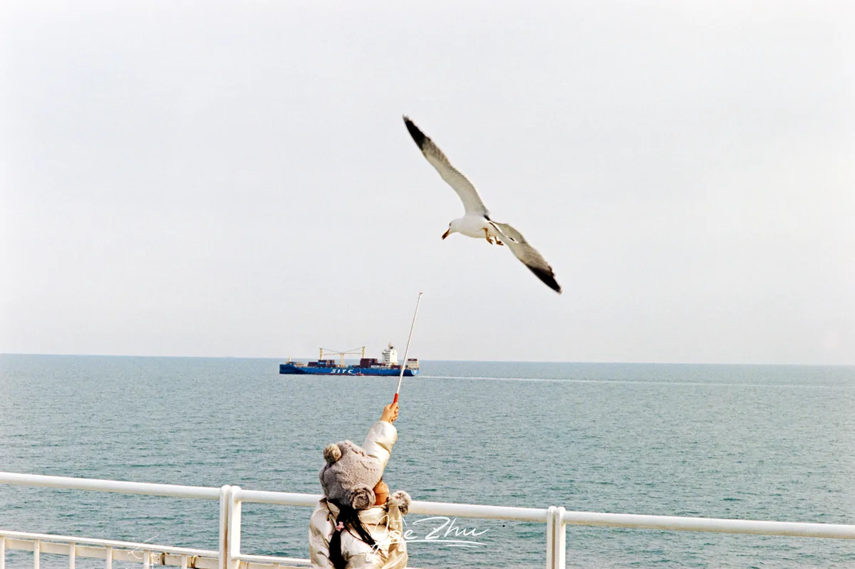 伸手的人与空中的海鸥